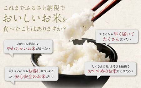 阿蘇のお米 5kg【14営業日発送】 精米 お米 米 おすすめ 人気 ランキング