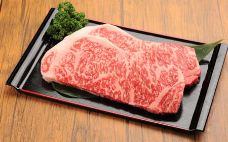 【6ヶ月定期便】 くまもと 黒毛和牛 サーロインステーキ 500g（250g×2枚） 熊本県 国産 牛肉 サーロイン ステーキ 肉