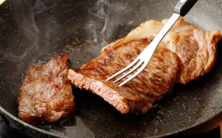 【3ヶ月定期便】 くまもと あか牛 サーロイン 500g（250g×2枚） 熊本 牛肉 お肉 ステーキ 和牛