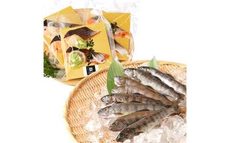 阿蘇から届く かわべの湧水やまめ 640g（内臓処理済8匹）とASOサーモンの北イタリア風ソテー 300g（50g×6切）やまめ サーモン 熊本県 高森町