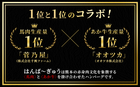 【菅乃屋×オオツカ コラボ】はんば～ぎゅう 計約780g（約130g×6個セット） ハンバーグ 馬肉 あか牛 赤身 ヘルシー 牛肉 お肉 個包装 冷凍 国産 熊本県 高森町