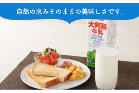 【6ヶ月 定期便】らくのうマザーズ 大阿蘇 牛乳 3.6％ 1L×6本