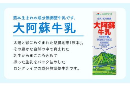 【6ヶ月 定期便】らくのうマザーズ 大阿蘇 牛乳 3.6％ 1L×6本