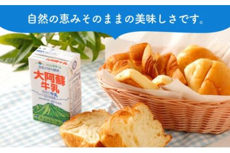 【12ヶ月 定期便】らくのうマザーズ 大阿蘇 牛乳 3.6％ 250ml×24本