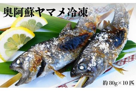 奥阿蘇 ヤマメ 80g×10匹 計800g 冷凍 山女魚 熊本県高森町産