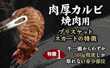 大判カルビ焼き肉用 ブリスケットスカート 1.2kg 1袋 ステーキ カルビ