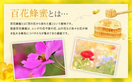 国産 百花はちみつ 合計1kg (500g×2本) とんがりポリ容器 ハチミツ 熊本県産