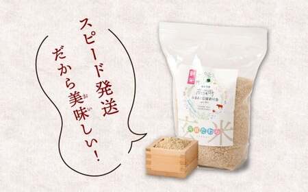 【6ヶ月定期便】阿蘇だわら（玄米）10kg（2kg×5）熊本県 高森町 オリジナル米 お米 米