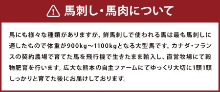 馬刺し 部位堪能 7種 食べ比べ ブロック 約540g タレ付き 馬刺