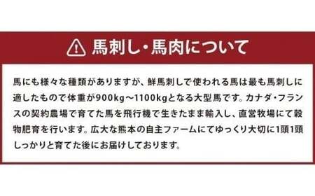 【数量限定】鮮馬刺し 赤身ユッケ 10個 約500g 桜うまトロ 60g セット