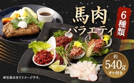 【順次発送】6種 馬肉 バラエティ セット 約540g 食べ比べ 馬刺 馬刺し タレ付き