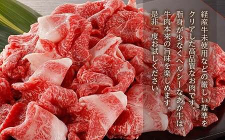 熊本県産 GI認証取得 くまもとあか牛 切り落とし 合計1kg (500g×2パック) 肉 牛肉 和牛 冷凍