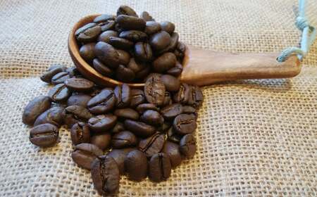 【隔月2回定期便】世界のコーヒー豆詰め合わせ 500g (100g×5種) コーヒー 珈琲 豆 セット