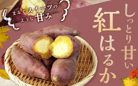 2023年11月発送開始】熊本県西原村産 熟成蔵出し さつまいも (紅はるか