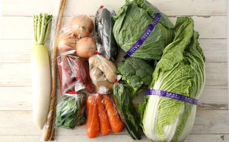 【6ヶ月定期便】生産者応援 採れたて新鮮 旬のお野菜 詰め合わせセット