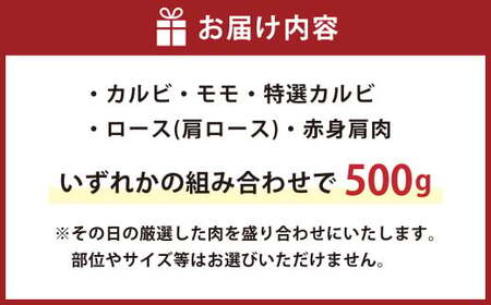 あか牛 おまかせ 焼肉 セット 500g