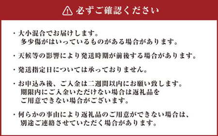 さつまいも 紅はるか 5kg 【2024年12月上旬～2025年3月下旬発送予定】 サツマイモ 薩摩芋 甘藷 芋 いも イモ 野菜 根菜 お取り寄せ