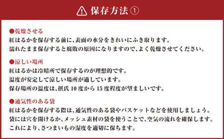 さつまいも 紅はるか 5kg 【2024年12月上旬～2025年3月下旬発送予定】 サツマイモ 薩摩芋 甘藷 芋 いも イモ 野菜 根菜 お取り寄せ