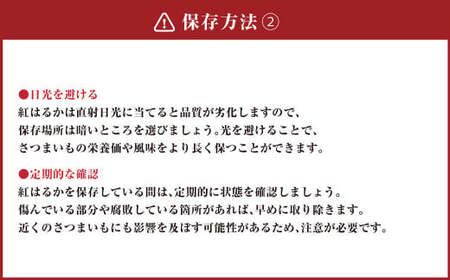 さつまいも 紅はるか 5kg 【2024年12月上旬～2025年3月下旬発送予定】 サツマイモ 薩摩芋 甘藷 芋 いも イモ 野菜 根菜 お取り寄せ