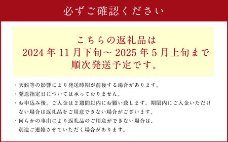 紅はるか 約5kg 大・中・小サイズ混合 さつまいも サツマイモ さつま 芋いも 芋【2024年11月下旬～2025年5月上旬発送予定】