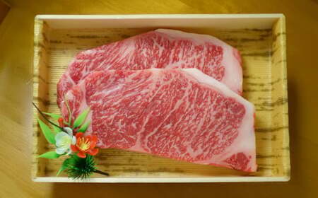 あか牛サーロインステーキ 約600g（約200g×3枚） あか牛 牛肉 サーロイン ステーキ 焼肉 肉 熊本産 国産牛 和牛