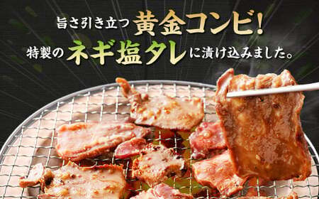 厚切り牛タンステーキ（ネギ塩味） 400g 牛タン タン ステーキ 厚切り 厚切りタン ネギ塩 牛肉 肉 ビーフ 塩牛タン 味付け肉 熊本県 西原村 冷凍