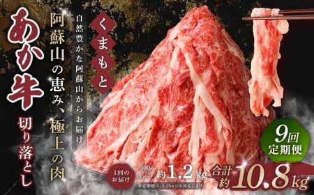 【 9回 定期便 】くまもと あか牛 切り落とし 1.2kg×9回 計10.8kg 肉 牛肉 和牛 ブランド牛 あか牛 赤牛 赤身 切落し 冷凍