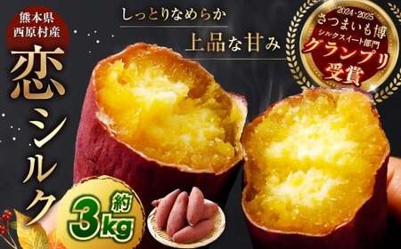 『 2024 - 2025 さつまいも博 シルクスイート 部門 グランプリ 受賞 』 恋シルク 約3kg サツマイモ さつまいも 芋 イモ 焼き芋
