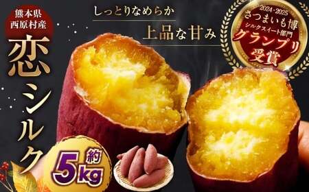 『 2024 － 2025 さつまいも博 シルクスイート 部門 グランプリ 受賞 』 恋シルク 約5kg サツマイモ さつまいも 芋 イモ 焼き芋