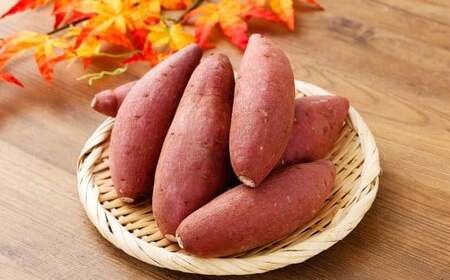 『 2024 － 2025 さつまいも博 シルクスイート 部門 グランプリ 受賞 』 恋シルク 約5kg サツマイモ さつまいも 芋 イモ 焼き芋