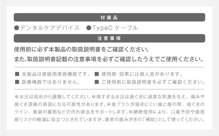 デンタルケア ( デンタルケアデバイス・TypeCケーブル ) / デンタルケアセット デンタルケアデバイス 口腔ケアデバイス 口腔ケア オーラルケア 歯 歯磨き 歯みがき ハミガキ 【&Less Beauty】