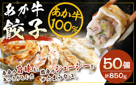 阿蘇西原村産あか牛餃子 50個 合計850g 餃子 ギョウザ おかず 惣菜 牛肉 肉 お肉