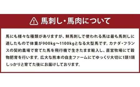 馬刺しバラエティー 6種類 合計1020g タレ付き 赤身切り落とし・コウネ・フタエゴスライス・桜うまトロ・線切り(ユッケ)・馬肉ハンバーグ