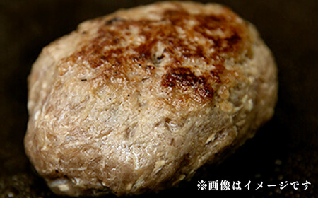 阿蘇 あか牛 ハンバーグ 2個 あか牛肉100％使用 牛肉 牛 惣菜 冷凍 熊本県産