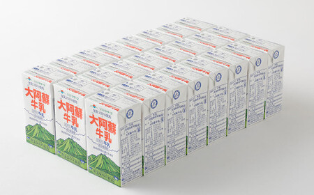 【12ヶ月定期便】大阿蘇 牛乳 250ml×24本×12回 合計72L 紙パック ミルク 成分無調整 