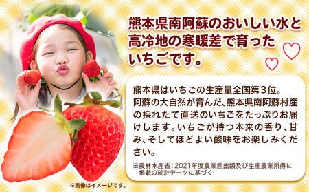 朝摘みいちご ゆめのか 280g×4パック 高地栽培 味采市場 《1月末-3月末頃出荷予定》 熊本県南阿蘇村 味采市場 いちご 苺 イチゴ フルーツ くだもの 果物