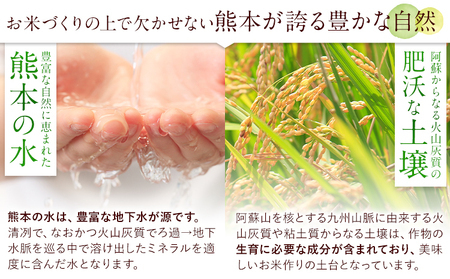 白米 阿蘇びより 20kg (5kg×4袋)《7-14日以内に出荷予定(土日祝除く)》