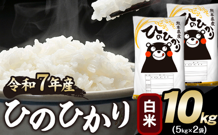 令和7年産 ひのひかり 白米 10kg 《1-5日以内に出荷予定(土日祝除く)》 ｜人気米 熊本県産米 お米 生活応援米