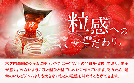 いちご ジャム 果実 ぎっしり！木之内農園の手作りいちごジャム 450g (150g×3本）《30日以内に出荷予定(土日祝を除く)》 熊本県南阿蘇村 イチゴ 苺 大粒