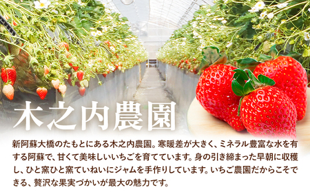 いちご ジャム 果実 ぎっしり！木之内農園の手作りいちごジャム 450g (150g×3本）《30日以内に出荷予定(土日祝を除く)》 熊本県南阿蘇村 イチゴ 苺 大粒