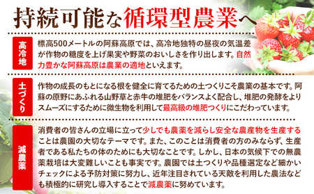 いちご ジャム 果実 ぎっしり！木之内農園の手作りいちごジャム 450g (150g×3本）《30日以内に出荷予定(土日祝を除く)》 熊本県南阿蘇村 イチゴ 苺 大粒