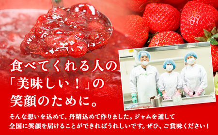 いちご ジャム 果実 ぎっしり！木之内農園の手作りいちごジャム 450g (150g×3本）《30日以内に出荷予定(土日祝を除く)》 熊本県南阿蘇村 イチゴ 苺 大粒