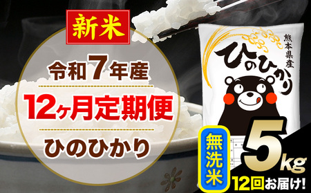 新米 令和7年産 【12ヶ月定期便】無洗米 ひのひかり 5kg 5kg×1袋《お申込み翌月から出荷》|人気米 熊本県産米 お米 生活応援米