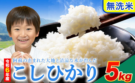 令和6年産 こしひかり 無洗米  5kg 精米 熊本県産(南阿蘇村産含む)  南阿蘇村《7-14日以内に出荷予定(土日祝除く)》｜人気米 熊本県産米  生活応援米
