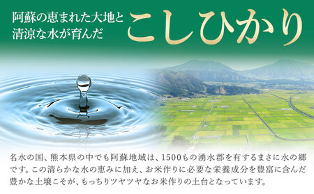 令和6年産 こしひかり 無洗米  5kg 精米 熊本県産(南阿蘇村産含む)  南阿蘇村《7-14日以内に出荷予定(土日祝除く)》｜人気米 熊本県産米  生活応援米