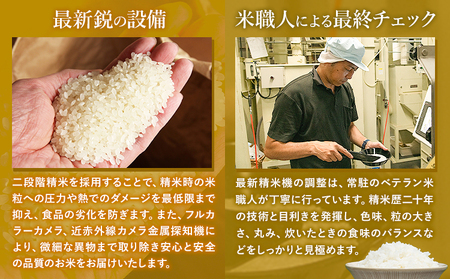 令和6年産 こしひかり 無洗米  5kg 精米 熊本県産(南阿蘇村産含む)  南阿蘇村《7-14日以内に出荷予定(土日祝除く)》｜人気米 熊本県産米  生活応援米