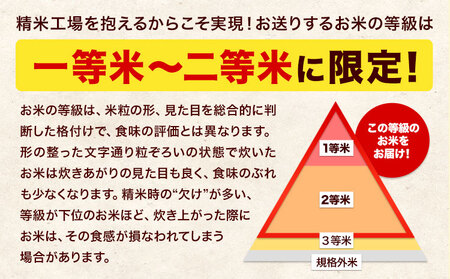 令和6年産 こしひかり 無洗米  5kg 精米 熊本県産(南阿蘇村産含む)  南阿蘇村《7-14日以内に出荷予定(土日祝除く)》｜人気米 熊本県産米  生活応援米