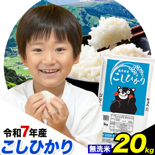 令和7年産 こしひかり 無洗米  20kg 精米 熊本県産(南阿蘇村産含む)  南阿蘇村《1-5日以内に出荷予定(土日祝除く)》｜人気米 熊本県産米  生活応援米