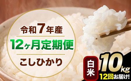 【12ヶ月定期便】令和7年産 定期便 こしひかり 白米 定期便 10kg 精米 熊本県産(南阿蘇村産含む)  南阿蘇村《お申込み翌月から出荷》｜人気米 熊本県産米  生活応援米