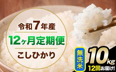 【12ヶ月定期便】令和7年産 定期便 こしひかり 無洗米 定期便 10kg 精米 熊本県産(南阿蘇村産含む)  南阿蘇村《お申込み翌月から出荷》｜人気米 熊本県産米  生活応援米